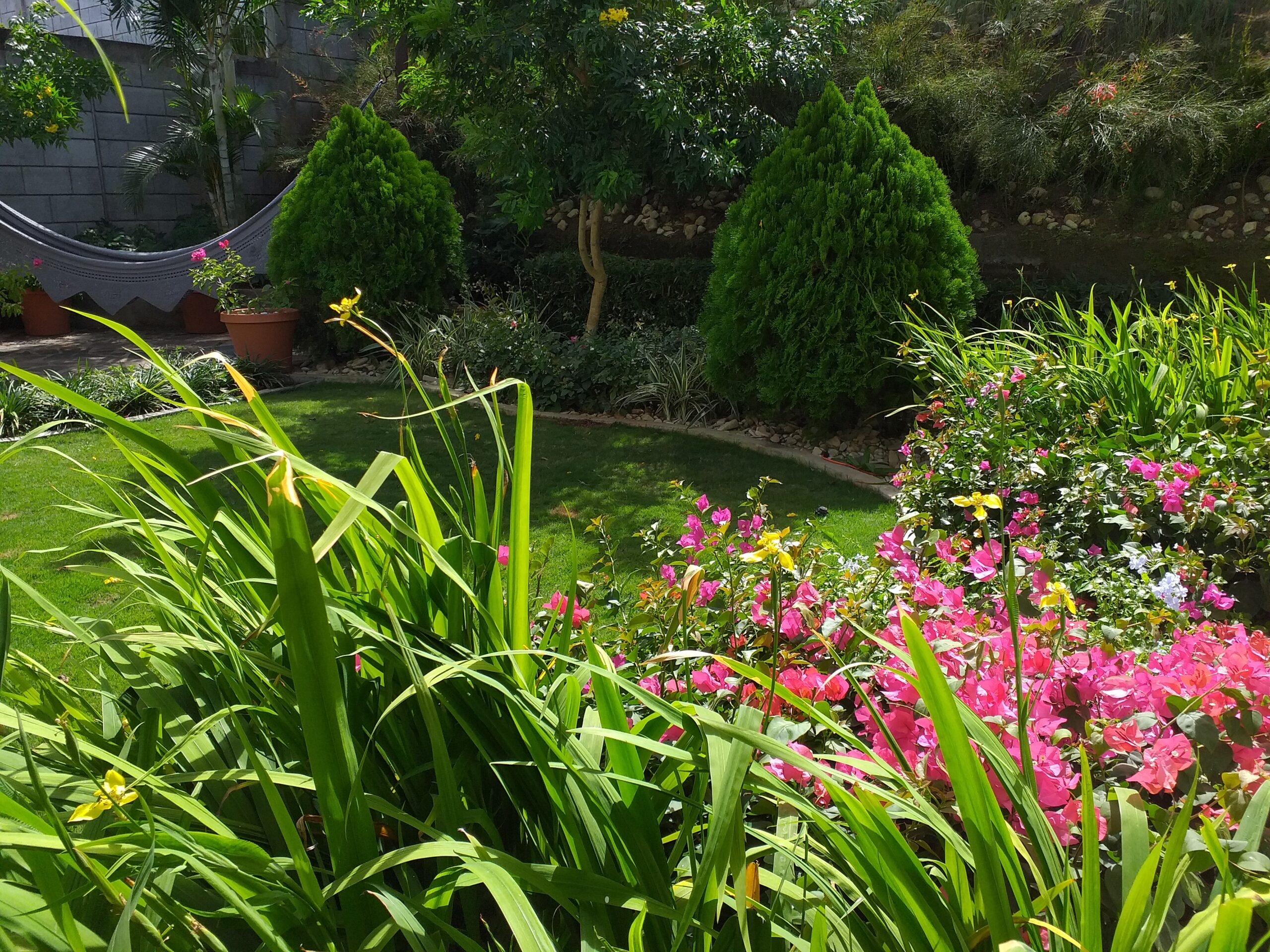 Pequeña area relax con Hamaca en jardín
