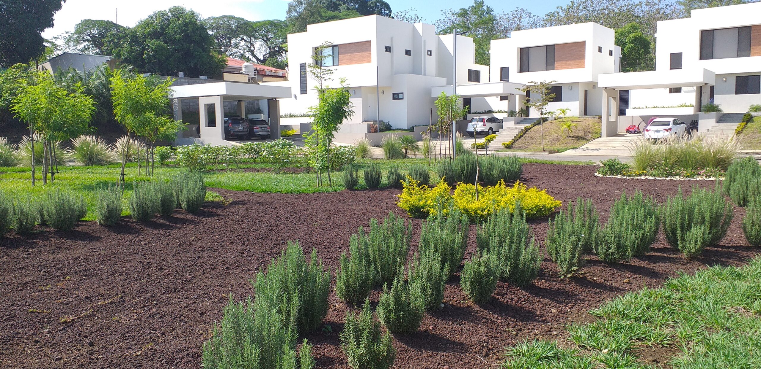 Parque natural de condominio privado diseñado y construido por Nova Jardines