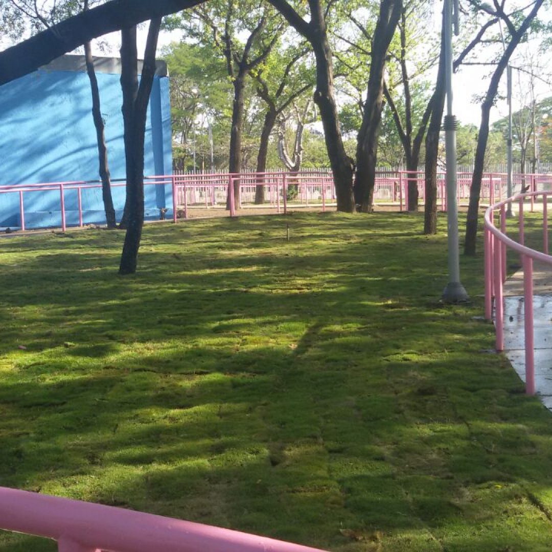 Vista de las pistas de patinaje en parque Luis Alfonso, Managua